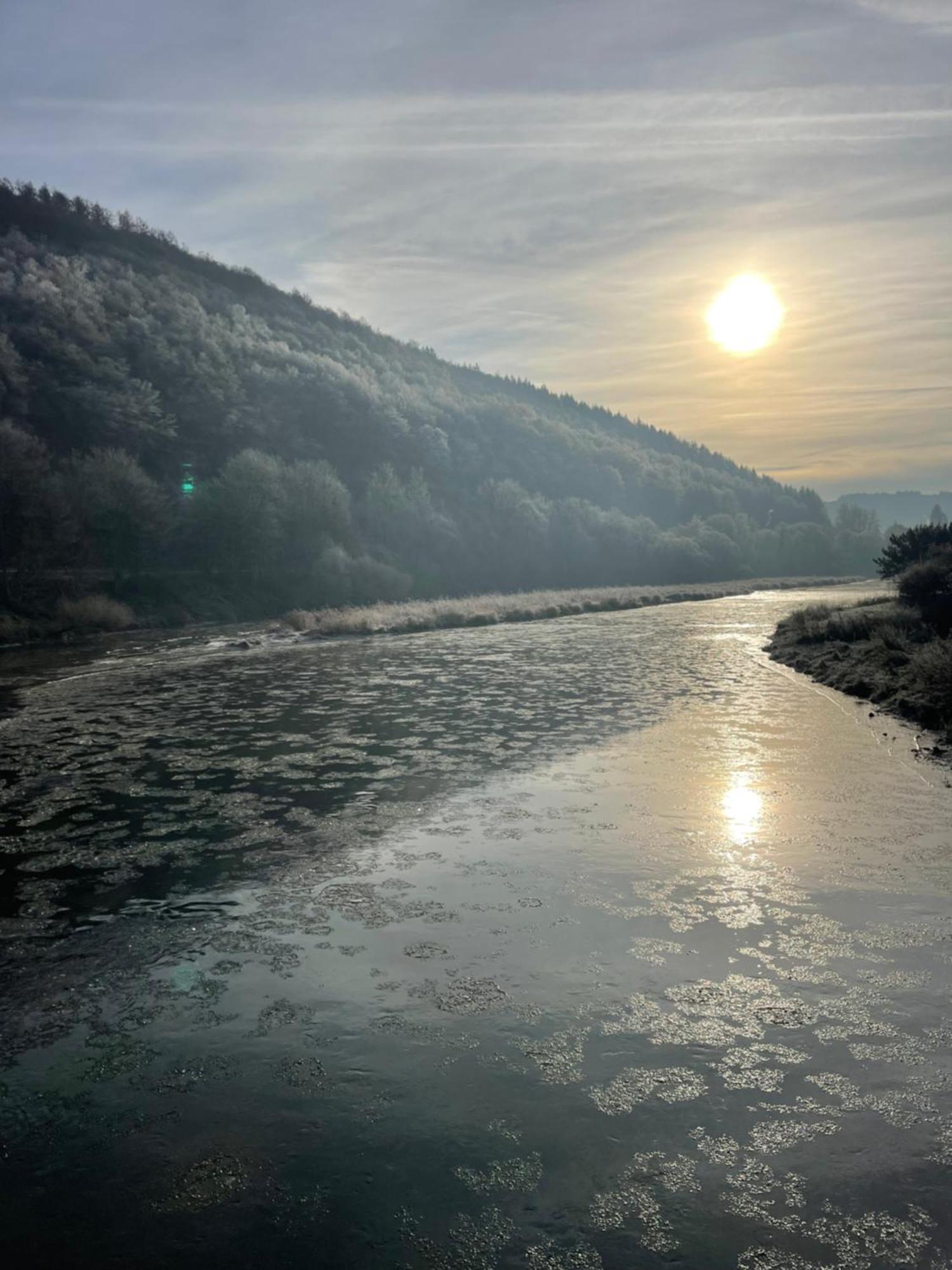 La Petite Passerelle A Mouzaive Vresse-sur-Semois Exterior foto